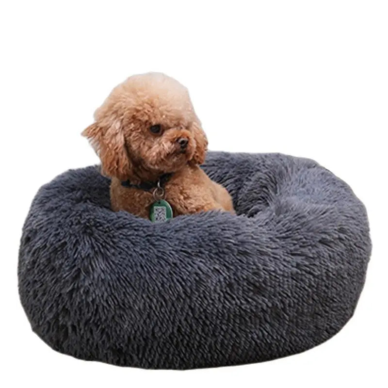 Bequeme, beruhigende Hundebetten – erhältlich in extragroßer Größe und mehreren Farben