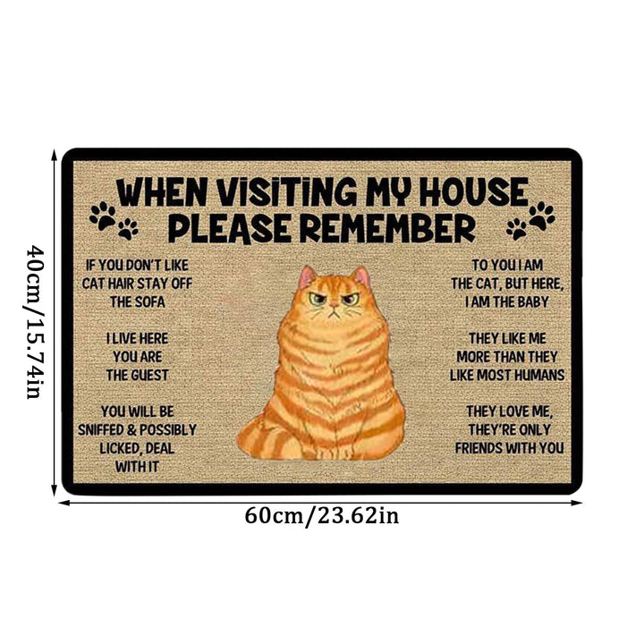 Keep In Mind When Visiting The House Cartoon Cat Welcome Doormat