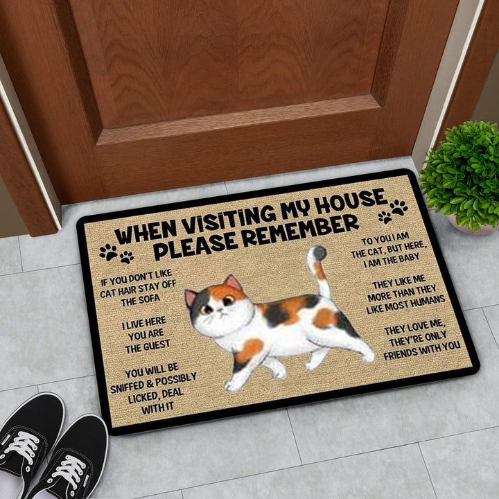 Keep In Mind When Visiting The House Cartoon Cat Welcome Doormat