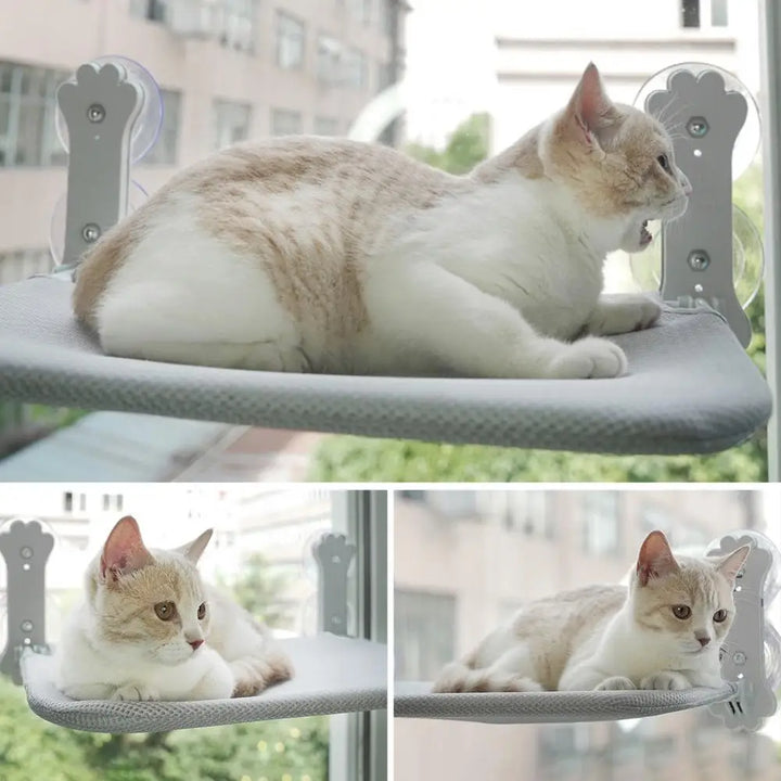 Faltbare Katzen-Fensterhängematte: Platzsparend mit starken Saugnäpfen und weichem Kissen