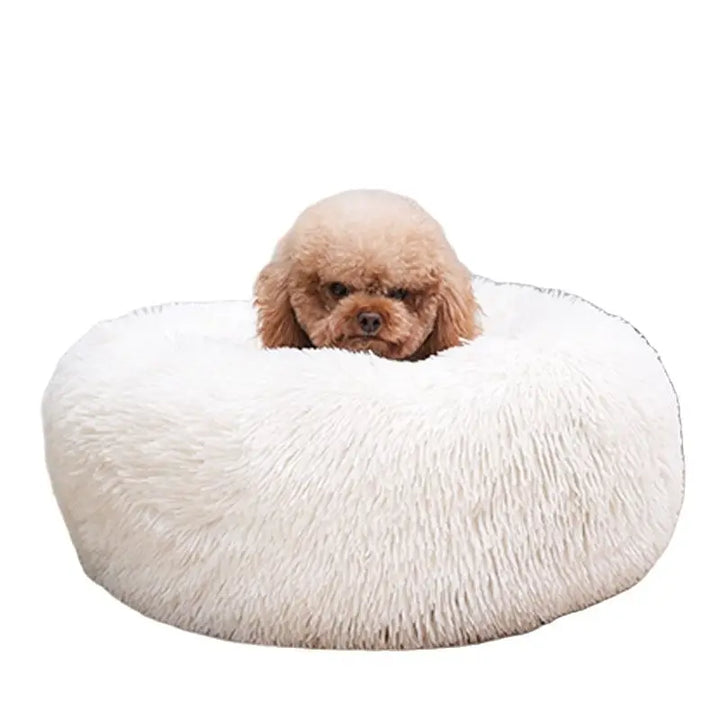 Comfy Calming Dog Beds - Available in Extra Large Size and Multiple Colors